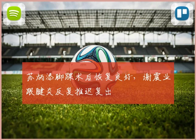 苏炳添脚踝术后恢复良好,谢震业跟腱炎反复推迟复出